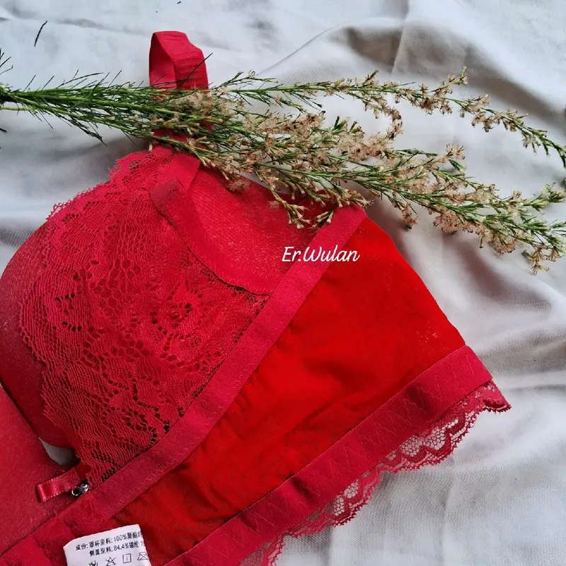 ISI 2 PCS || Bra Lingeri busa push up || Cup A-B || Tanpa kawat. 2