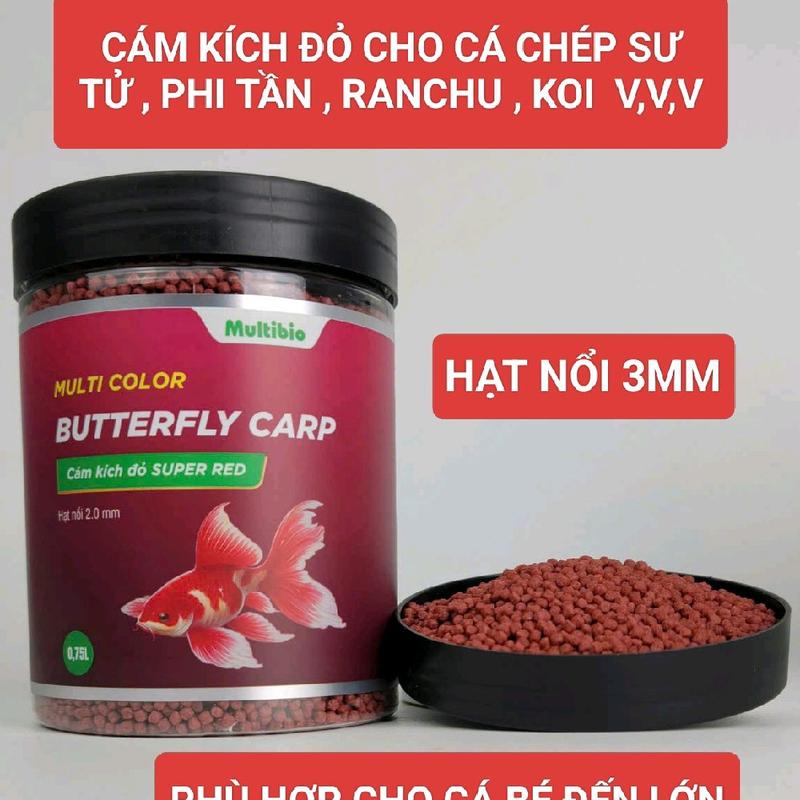 CÁM KÍCH ĐỎ SUPPER RED HẠT NỔI 3MM , THỨC ĂN CHO CÁ CHÉP SƯ TỬ , PHI TẦN , RANCHU V,V,V CÁM CÁ CHÉP SƯ TỬ
