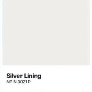 3021p silver lining