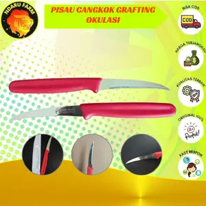 PISAU GRAFTING cangkok okulasi ukir buah knife fruit LOKAL
