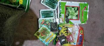Product Review of 10 Benih sayur gambas Oyong from A**o 2