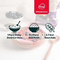 Gambar OATSY Steel Cut Oats 750g (Double Pack) dari Oatsy Oatmeal & Muesli Kota Administrasi Jakarta Barat 3 Tokopedia