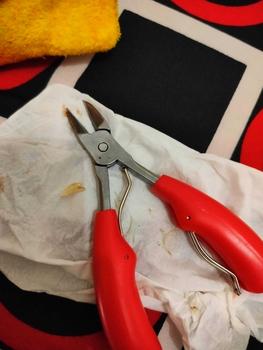 Product Review of Gunting Kuku Miring Anti Cantengan Pemotong Kuku Miring Jempol Kaki Stainles Steel from N**a A**i 1