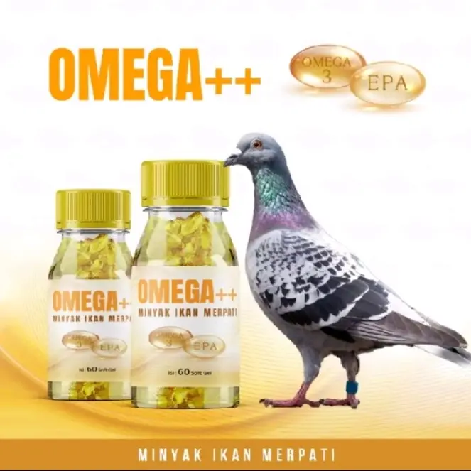 MINYAK IKAN MERPATI OMEGA 3++ ISI 60 BUTIR