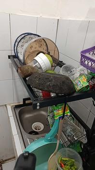Product Review of [Spesial Live] ES Rak Piring Wastafel Stainless Carbon Steel Rak Dapur Kuat Kokoh Tahan Karat from t**s 1