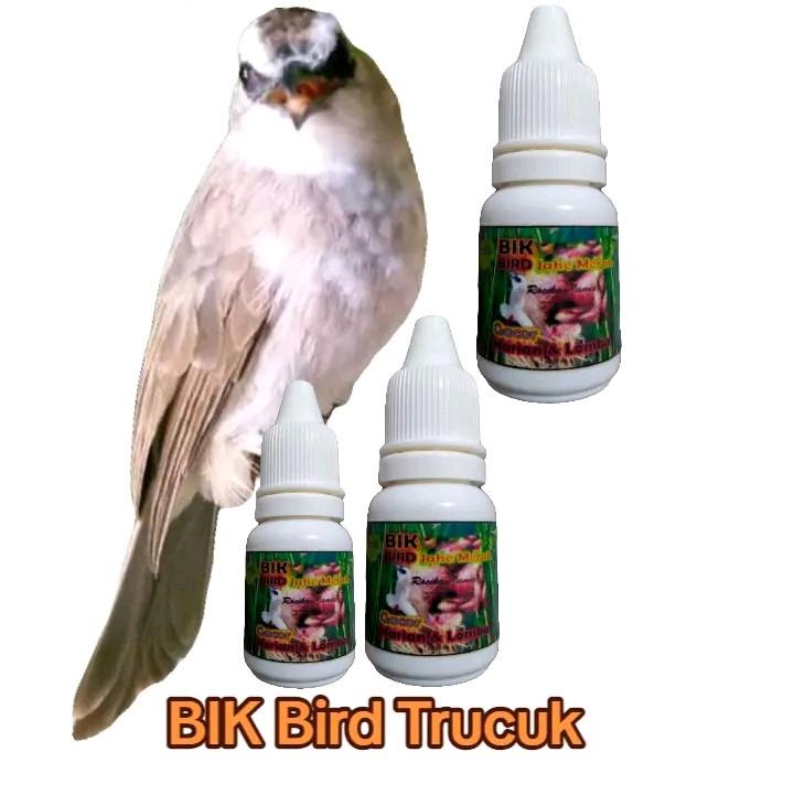 BIK Bird Trucuk. Ekstra Jahe Merah. Jametik. 7