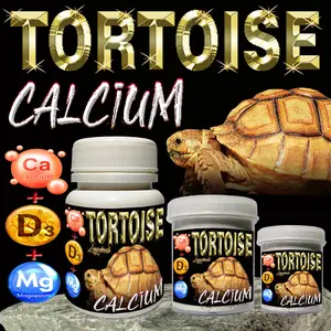80GR TORTOISE KALSIUM BUBUK +D3 CALCIUM POWDER REPTILE SUPLEMEN KESEHATAN TULANG KURA-KURA DARAT SULCATA PARDALIS ALDABRA CHERRY HEAD SULKATA VITAMIN OBAT MENCEGAH PENYAKIT TULANG TORTO MBD METABOLIC BONE DISEASE REPTILE