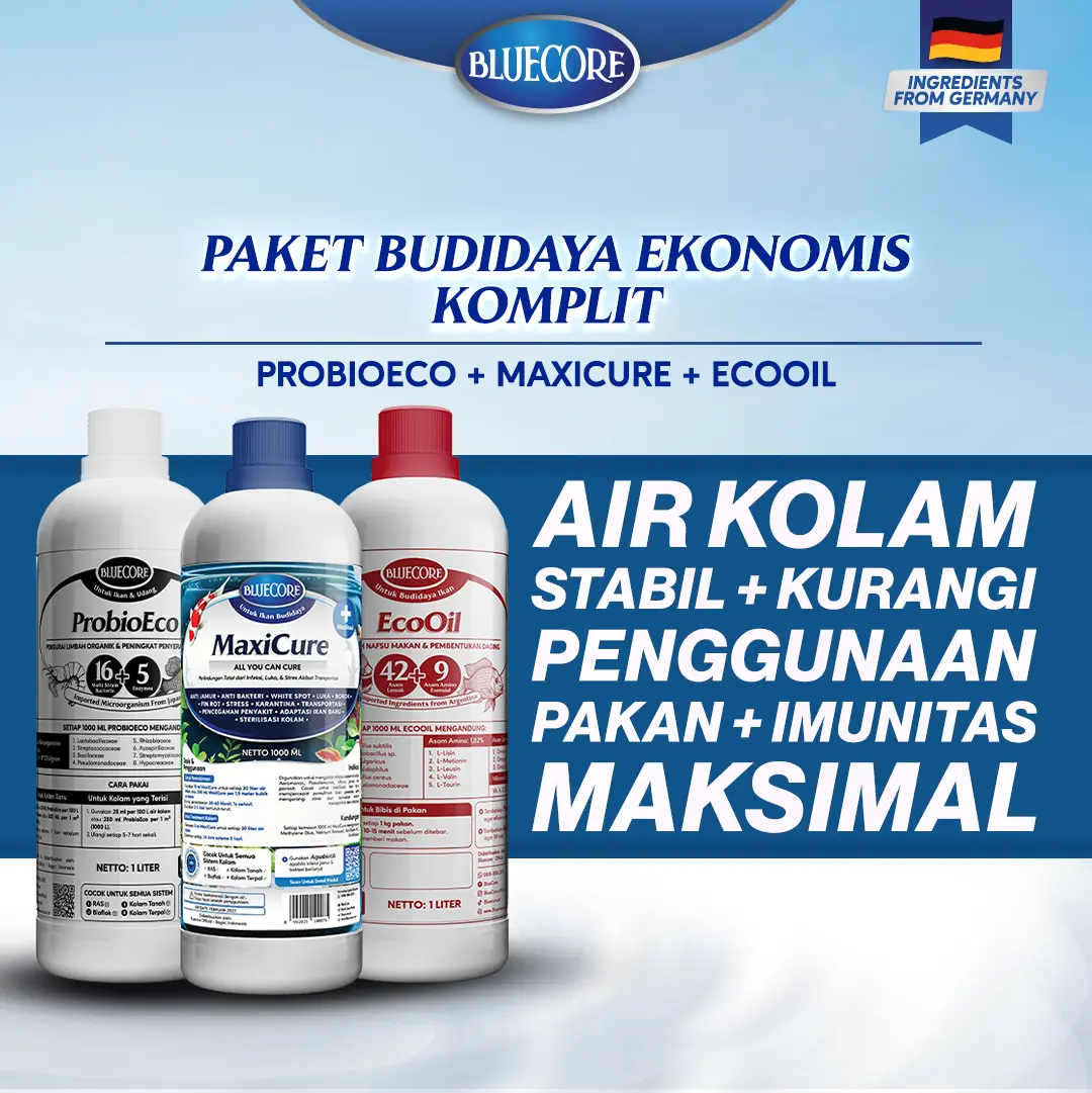 Bluecore Paket Budidaya Ekonomis Komplit | Probiotik Penjernih Air Kolam, Vitamin Lele Cepat Gemuk & Obat Ikan Lele