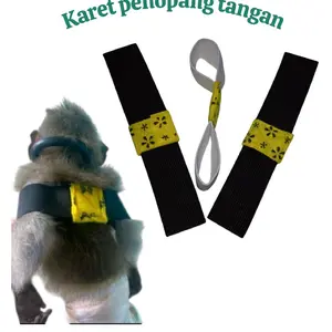 karet penopang tangan agar monyet dapat jalan 2 kaki dan tidak terlalu aktif