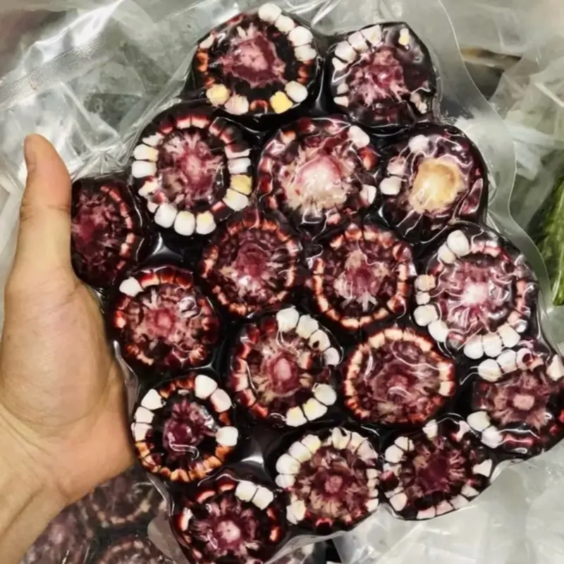 2KG Ngô tím Điện Biên - ngâm rượ.u thơm ngon, bổ dưỡng, màu đẹp - 2kg - hạt giống - túi trà - trà