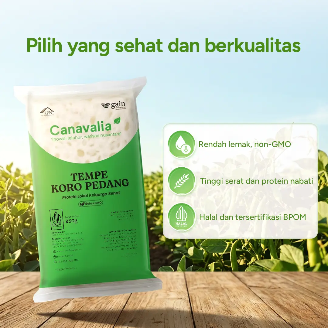 Tempe Canavalia Kacang Koro Pedang