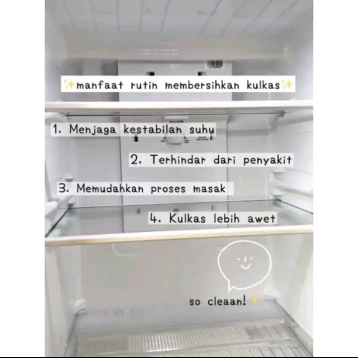 mz clean Pembersih Westfalen Kulkas 250ml Cairan Serbaguna Pembersih Kerak Kulkas Kaca dll 5