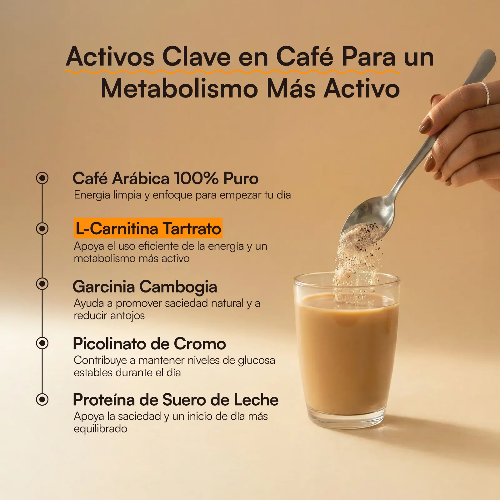 Zesty Nutrition Metablica Protein Caf - Arbica 100% Puro con L-Carnitina, Garcinia Cambogia y Cromo - Apoyo Zesty Nutrition Metablica Protein Caf - Arbica 100% Puro con L-Carnitina, Garcinia Cambogia y Cromo - Apoyo