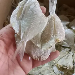 Ikan asin kapasan/asin kerupuk