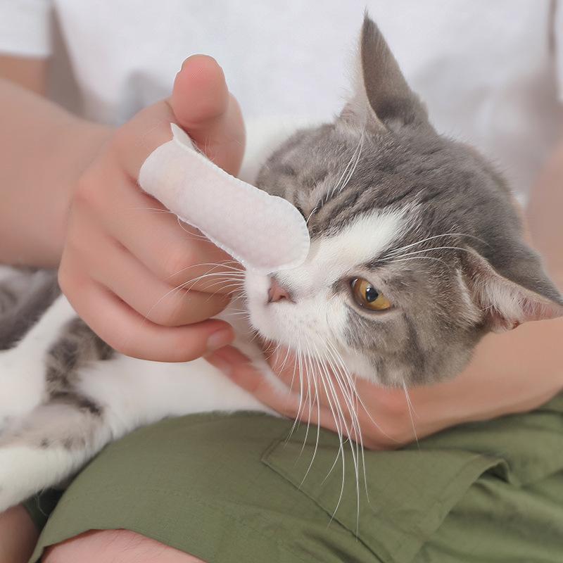 Product Introduction of Pet tooth cleaning finger wipes 5