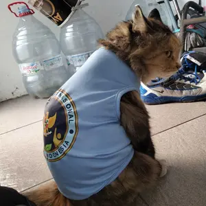 Baju Kucing Lucu Parodi BGN – Kostum Anabul Unik Bikin Ngakak