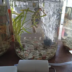 Fish Tank Oxygen Pump, Rechargeable Usb Air Pump, Abs Aquarium Electric Air Pump,fish Tank Aerator, Fish Tank Oxygenation Pump, Aquarium Air Pump Accessories for Fishing Home Vehicle Fish Market Truck