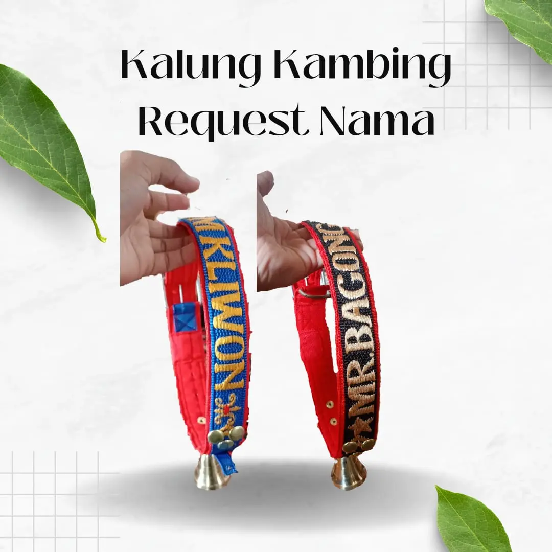 Kalung Kambing Etawa Dan Kambing Kontes  Reques Nama tali  kambing 1 set