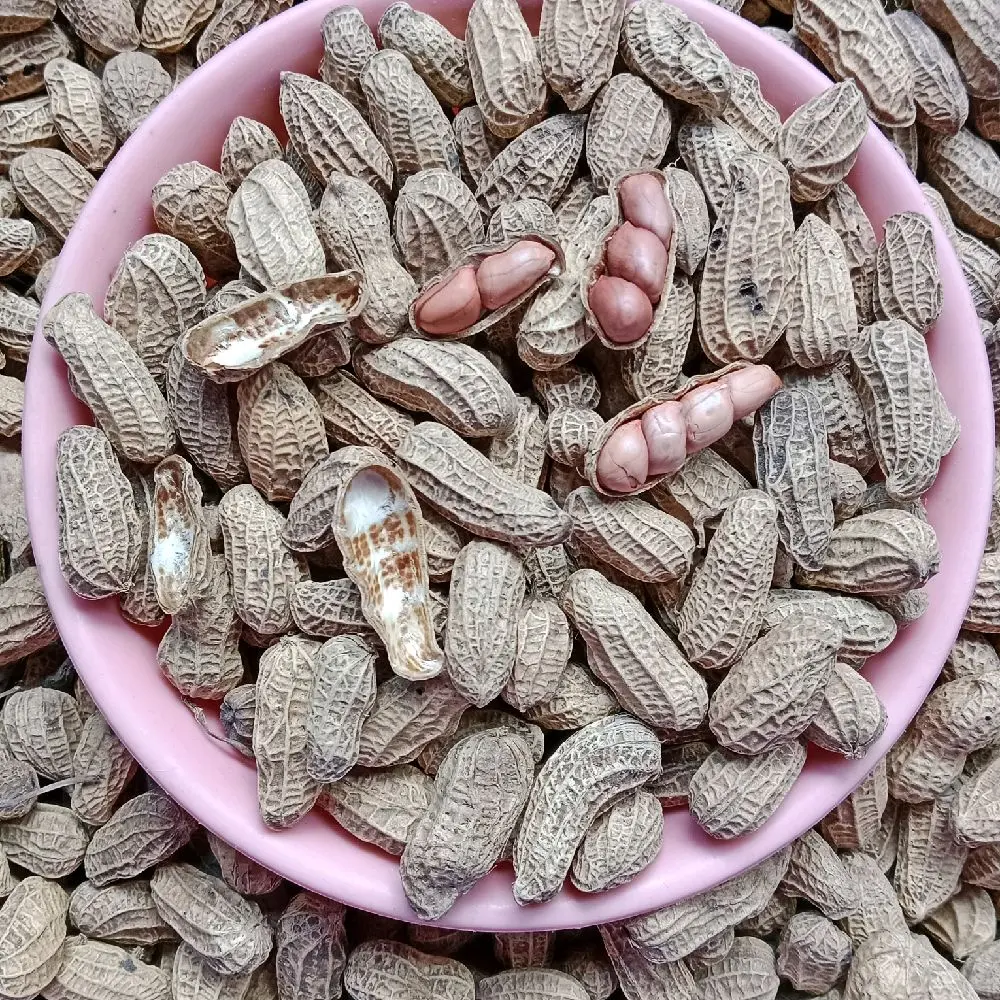 1 kilogram PROMOOO Kacang Kulit Sangrai Bendo Gurih - Snack Camilan Renyah Gurih -