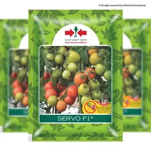 [ Promo ] Original Benih Tomat - Servo F1 - 5 Gram - isi +/-1.750 butir