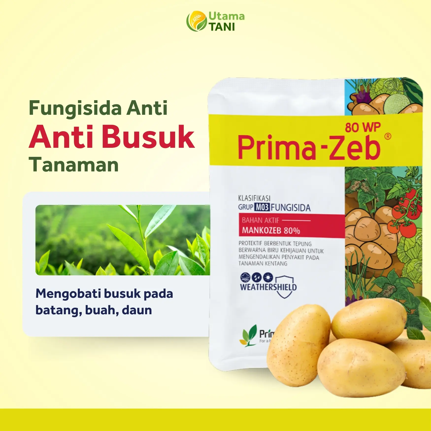 Prima Fungisida Obat Anti Busuk Batang Daun Buah Tanaman