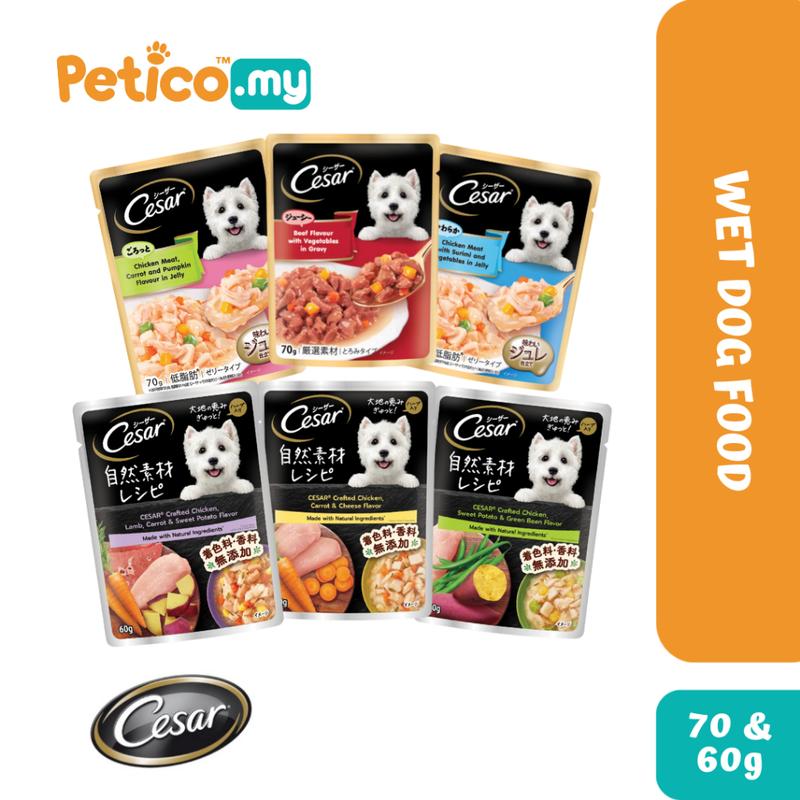 Cesar Pouch 70g / 60g Wet Dog Food (Chicken/Beef) - TikTok Shop Malaysia