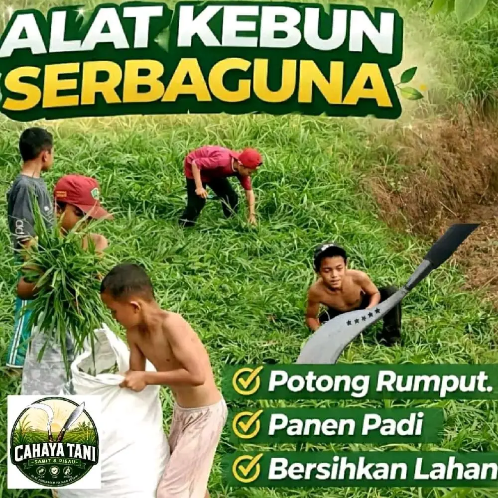 alat cari rumput baja serbaguna cap bintang lima