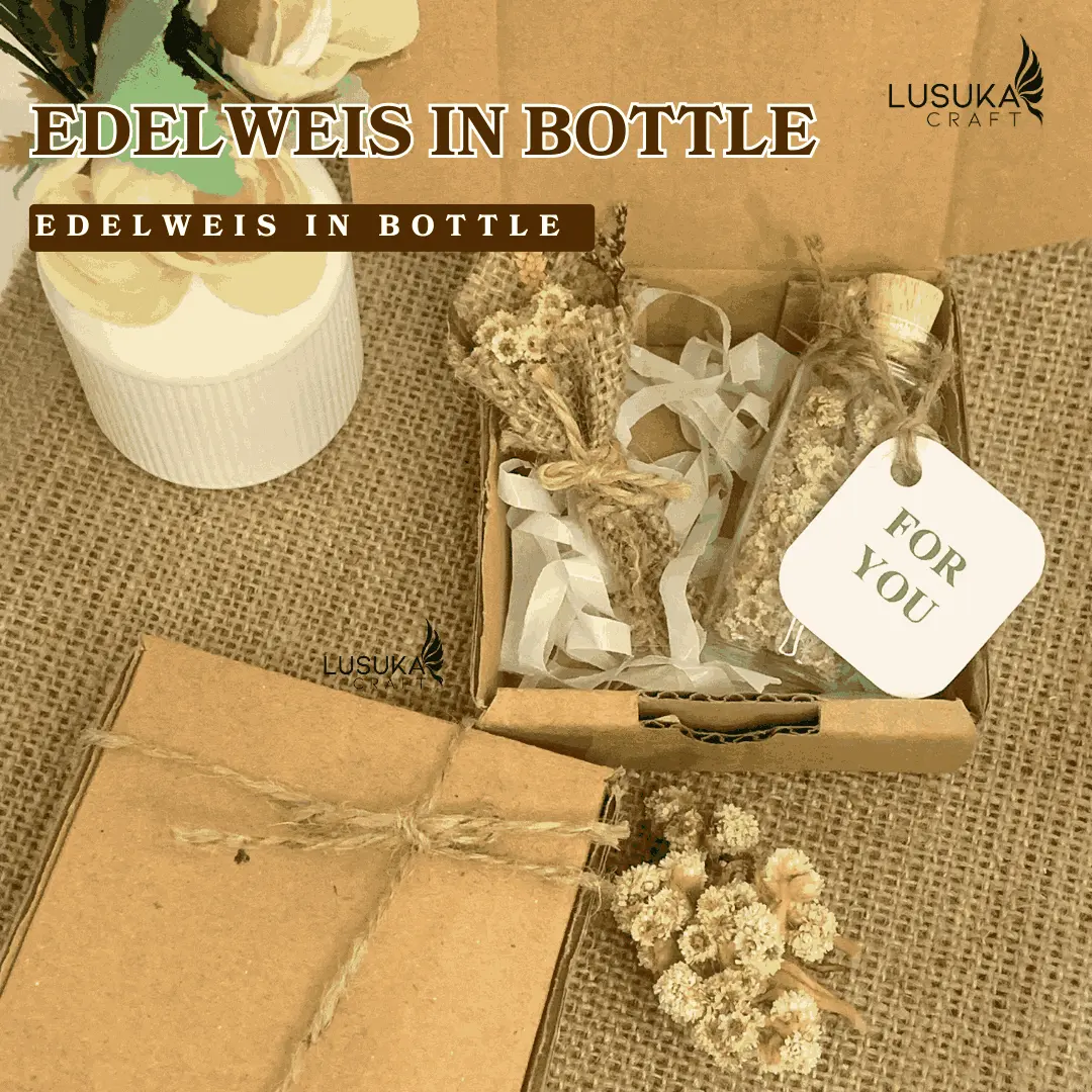 Edelweis in Bottle Dried Flower in Bottle Bunga Abadi Botol Lusuka.Craft