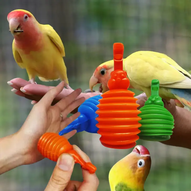 10PCS Cit Citan Mainan Lovebird Bunyi Latih Ngekek Lovebird DELLO 3