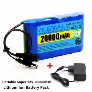 Pengisi Daya Portabel Baterai Li-ion Aleaivy 12V atau 24V 20000mah dengan Pengisi Daya Baterai