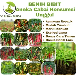 benih cabe cabai konsumsi bibit cabai biji cabai Hijau Merah