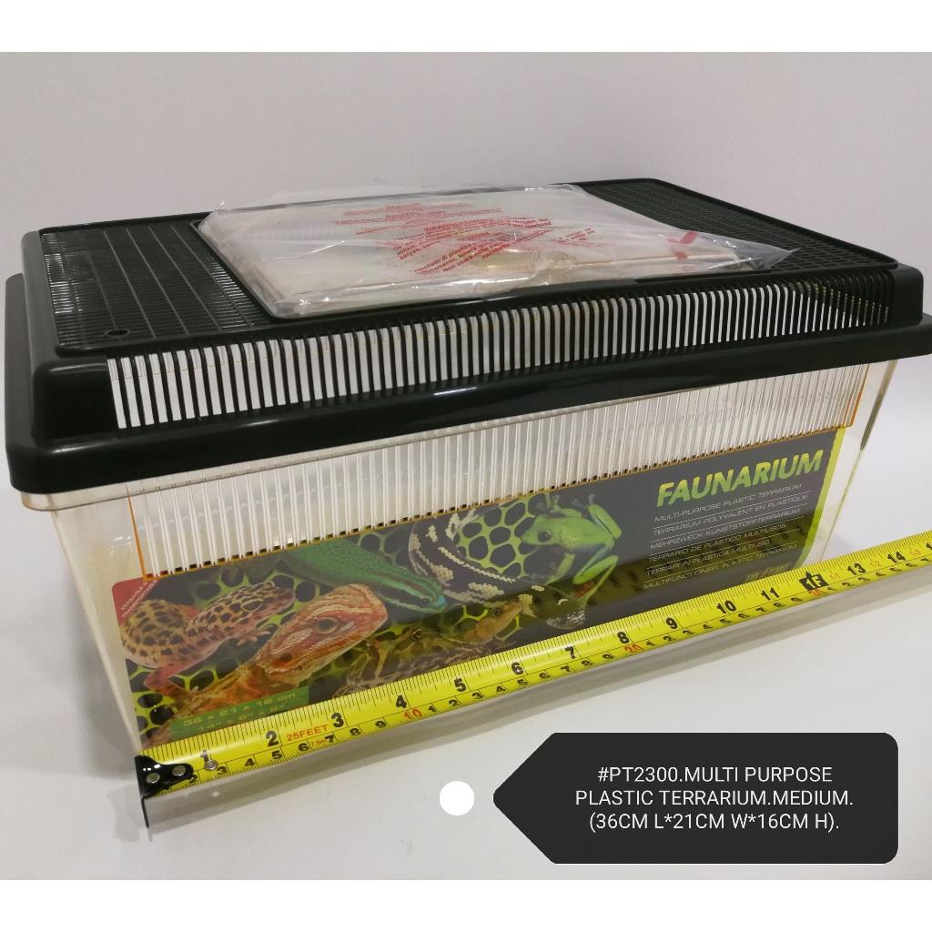 Faunarium Exo Terra M PT2300 Tank Pet Small Animal Tank Lizard Gecko Reptile Amphibian Mouse Arachnid Insect Terrarium