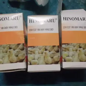 Lampu Spot  / Lampu Penghangat / Makanan & Hewan Ternak SATUAN
