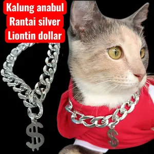 kalung anabul kalung kucing kalung anjing rantai silver liontin dollar