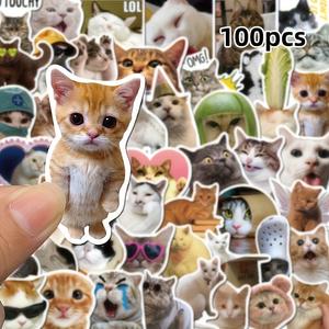 100 pegatinas divertidas de gatos, diseños de memes de gatitos lindos con sombreros, gafas de moda y signos de paz, calcomanías autoadhesivas para botellas de agua, computadoras portátiles y tablas de skate