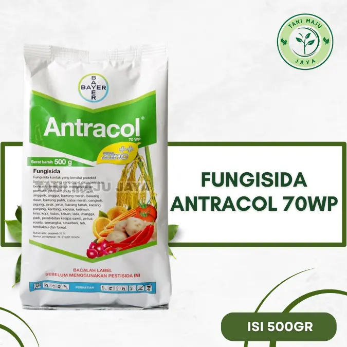 [A1] Fungisida Antracol 40WP 500gr Ampuh untuk Mengendalikan Penyakit Jamur pada Tanaman