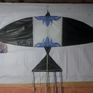 layang tunang aceh selatan ukurang 1.80 merer