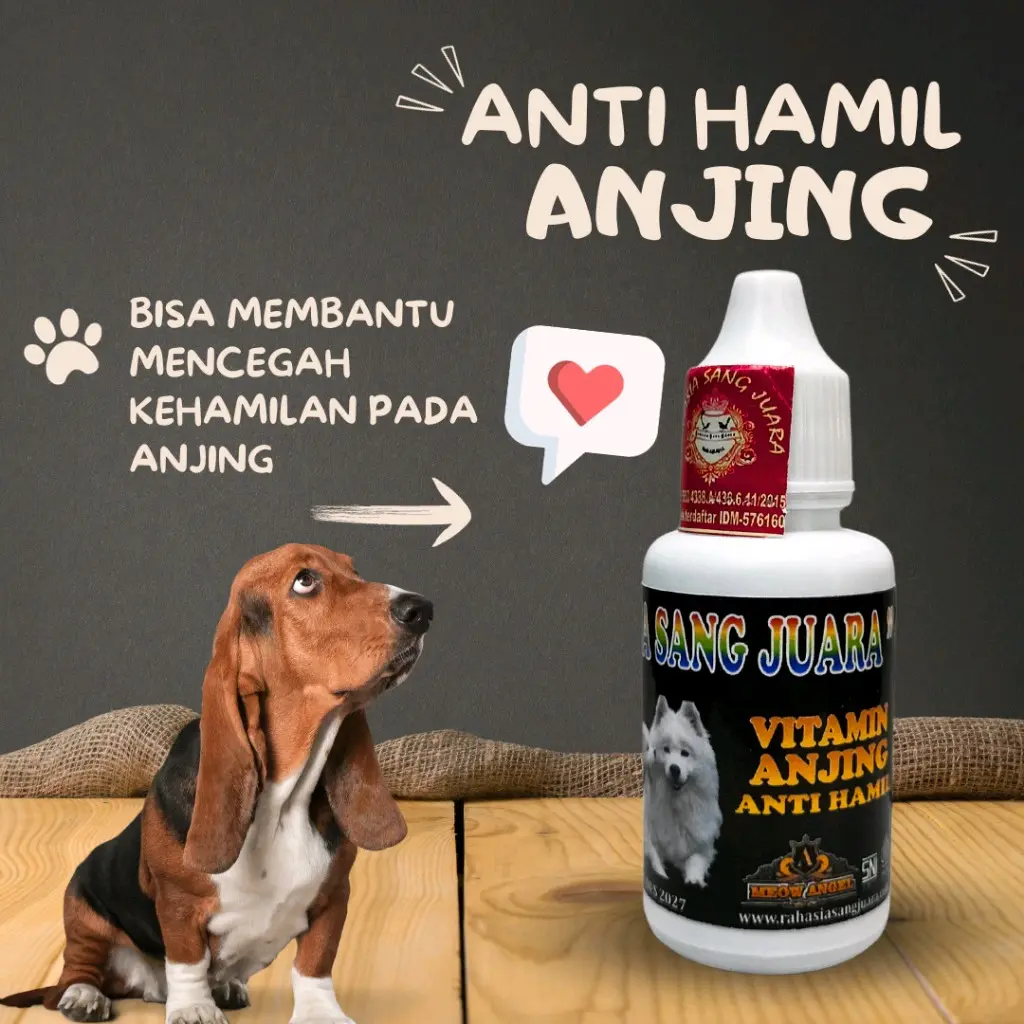 RSJ OBAT ANTI HAMIL ANJING AMPUH MENCEGAH KEHAMILAN PADA ANJING