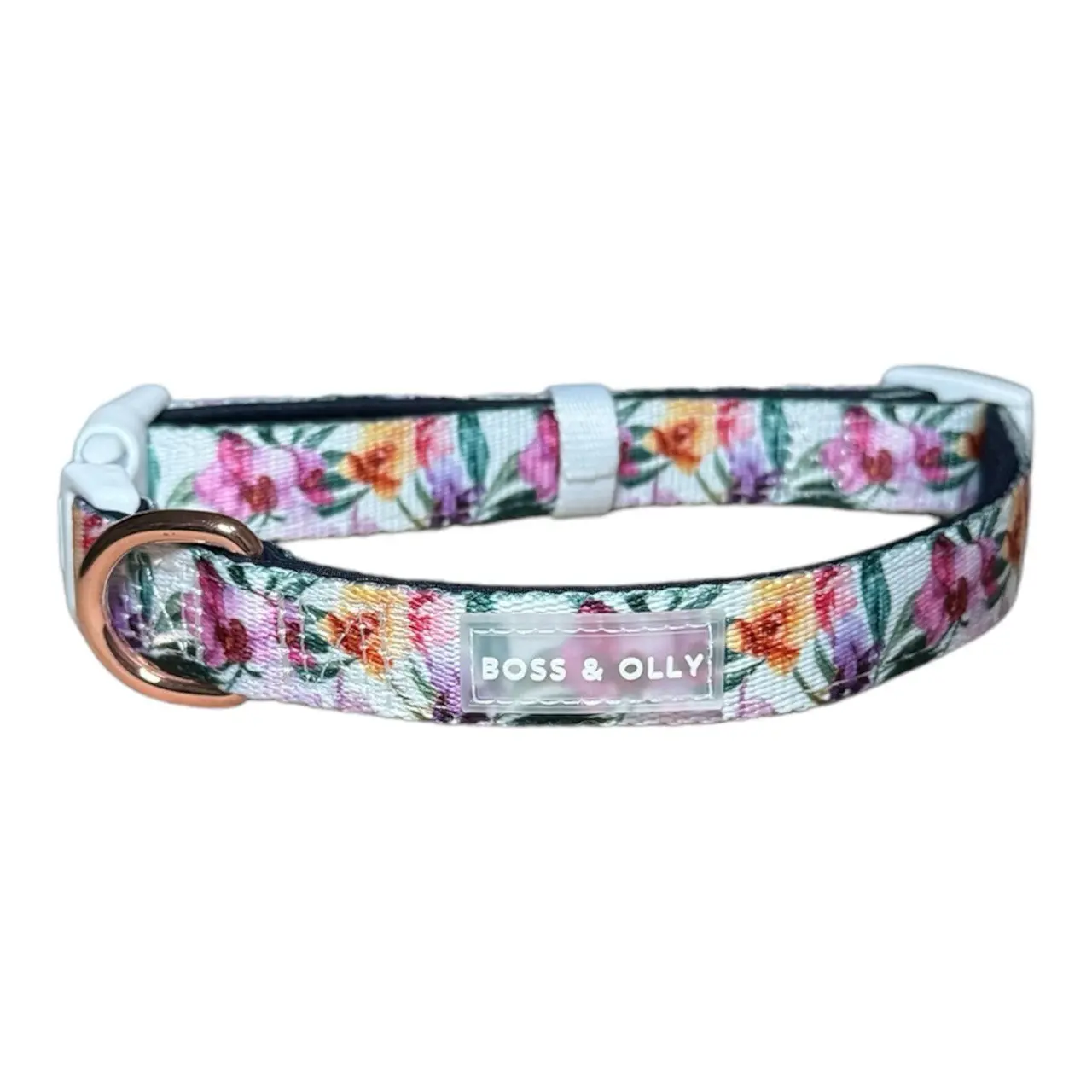Boss & Olly - Padded Collar : 8 designs (Adjustable, With Buckle)