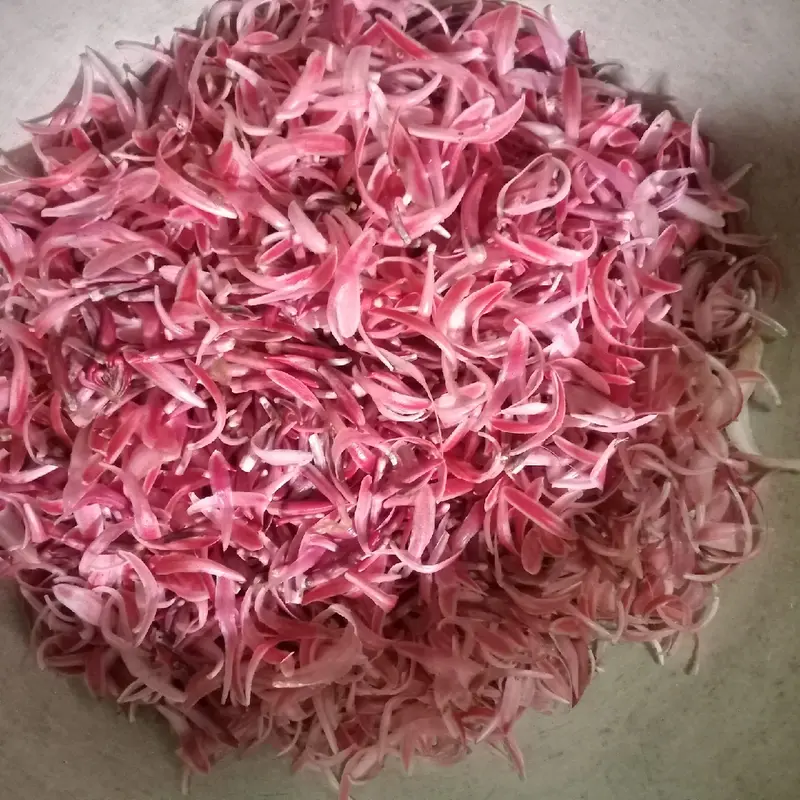 Kecombrang bumbu masak 1kg yang kami kirim kecombrang utuh 3