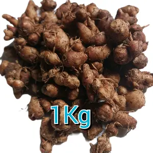 1Kg CIKURBUMBU MASAKAN BUMBUREMPAH DAN MAKANAN KERING ATAU BASAH Asin/Manis Goreng Food KacangPedas Bahan
