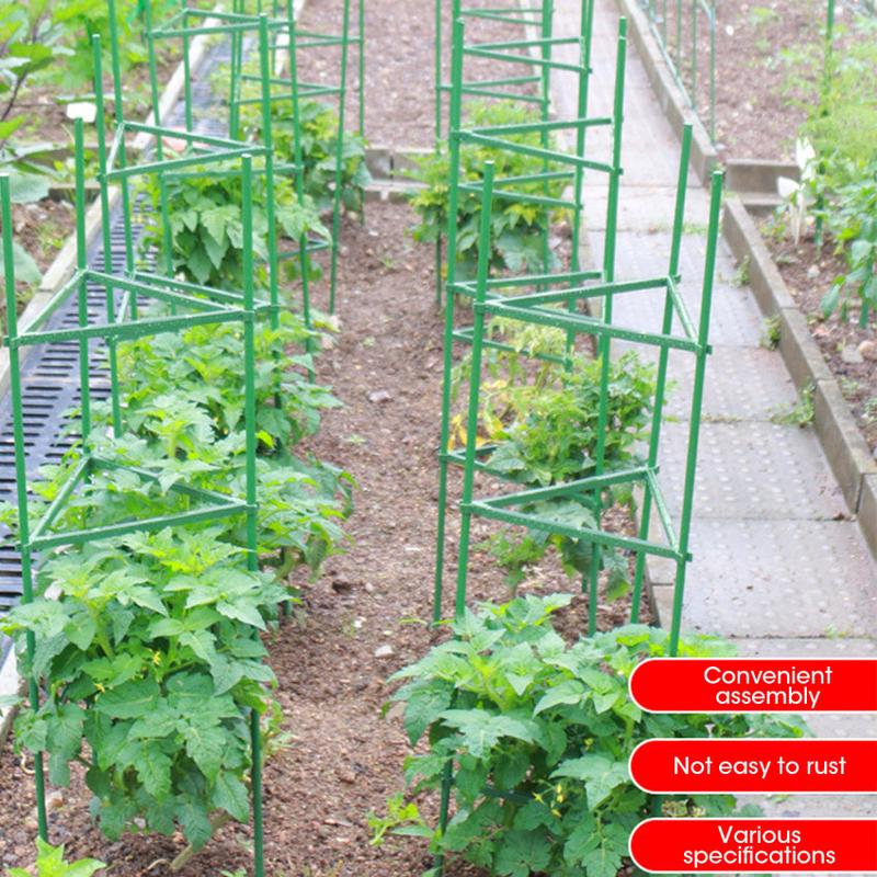 Product Introduction of 80cm Plastic Column Vine Plant Bracket Potted Plant Flower Tomato Support Pile Vine Climbing Frame Plant 32