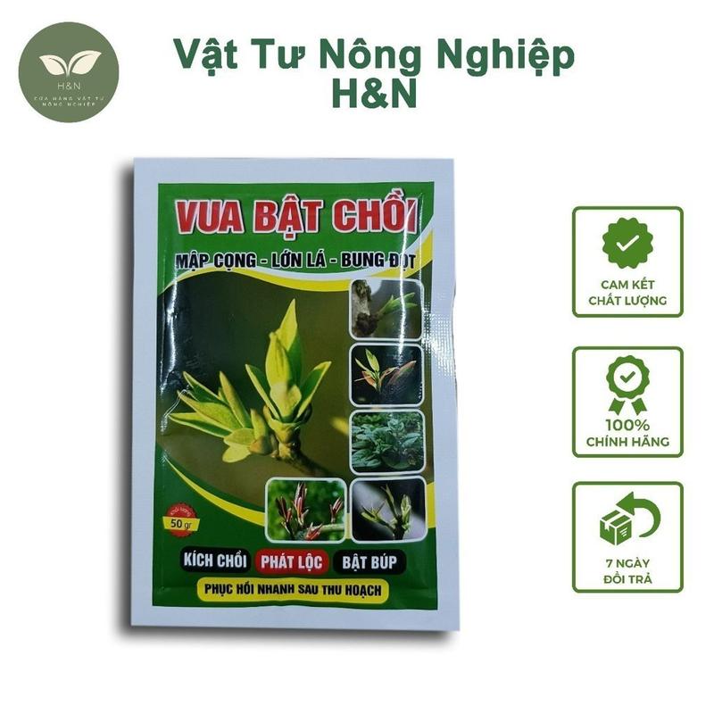 COMBO 50 GÓI 50G Phân bón lá Vua Bật Chồi kícḣ chồi bung đọt gói 50g Vật Tư Nông Nghiệp H&N ---- đầm chồi lẩy lộc rất tôtd