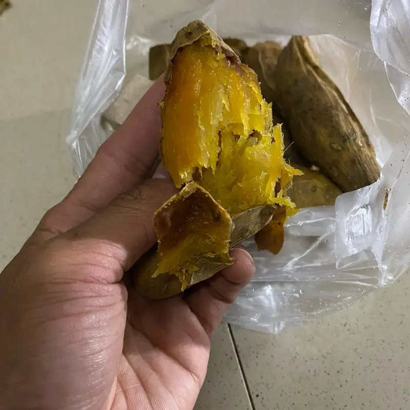 1KG UBI MADU CILEMBU MENTAH TELO MADU SIAP DI OLAH  Makanan Cemilan Manis Oven 3