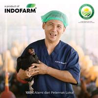 Gambar BUNDLE 2 KOTAK TELUR AYAM KAMPUNG OMEGA dari INDOFARM JAKARTA SELATAN Kota Administrasi Jakarta Selatan 3 Tokopedia