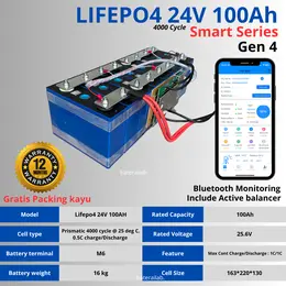 Baterai LiFePO4 24V 100Ah