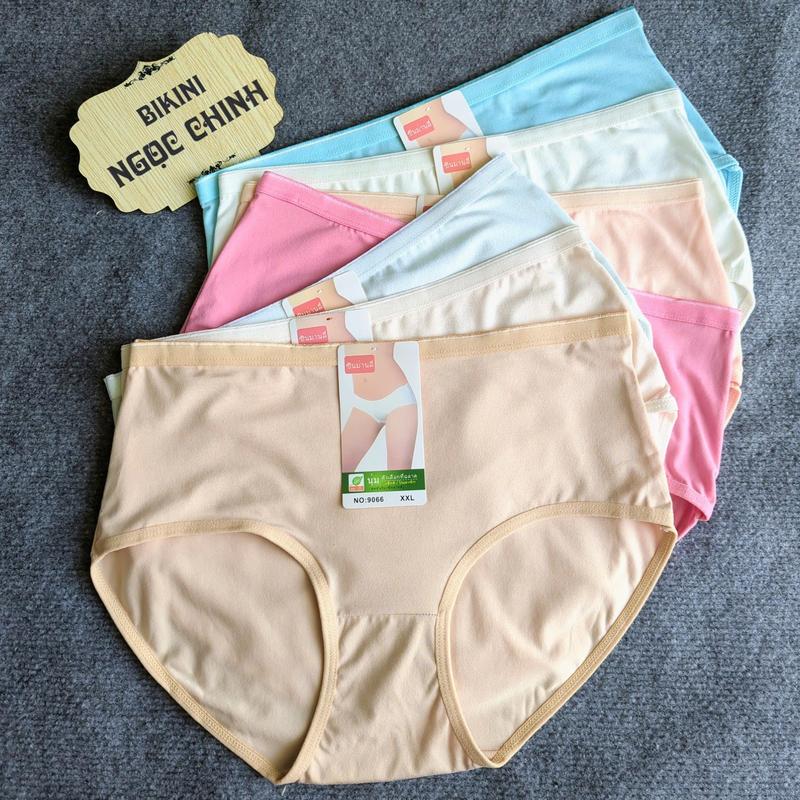   COMBO 5 & 10  Quần Lót Nữ BigSize Cạp Cao Cotton Thái  Size 50-90 Kg  Chất Vải Mềm Mịn Co Giãn 4 Chiều Mặc Siêu Êm  9066  