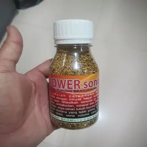 PAKAN BURUNG BRANJANGAN POWER SONG ORIGINAL