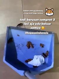 Gambar Hogasan cairan anti serangga pembasmi semut kecoa ukuran Refill 500ml dari Hogasan_NEW Kota Surabaya 3 Tokopedia