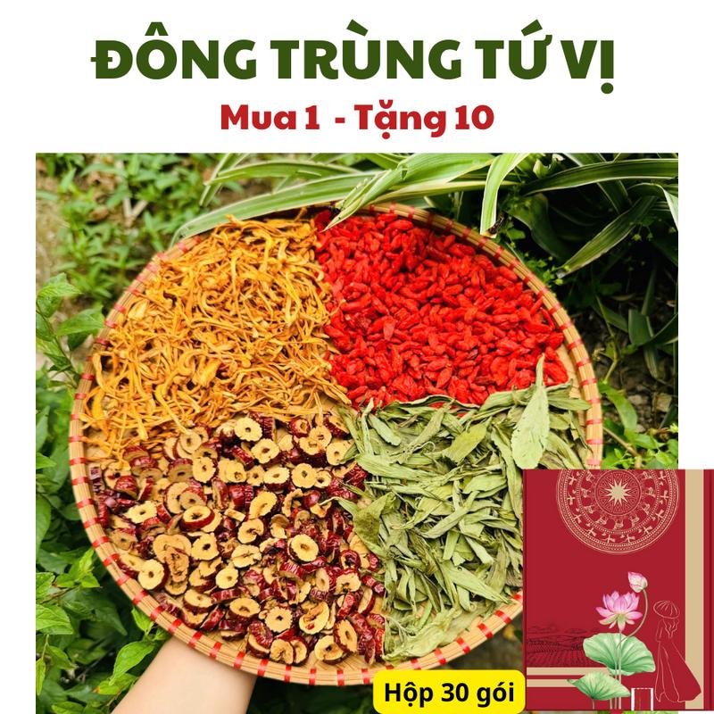 Mua 1 tặng 10 Mua hộp 30 gói Trà Đông Trùng Tứ Vị tặng kèm 10 gói nguyên liệu hữu cơ sấy lạnh Tea Chè hạ thảo